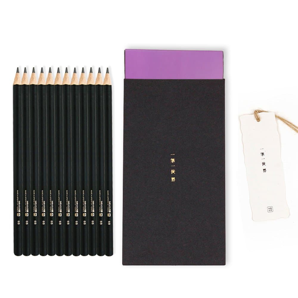 Miya Charcoal Pencils Set, Professional Graphite Sketching Pencil Kit for Drawing and Shading Black, Nice Gift for Beginners Artist Adults & Kid, 12 Piece (Soft, Neutral, Hard, Thick, Super Soft)