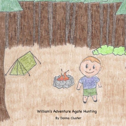 William's Adventure Agate Hunting (William's Adventure Series)