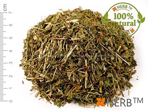 FIVE-FINGER GRASS Potentilla reptan, stem 50g