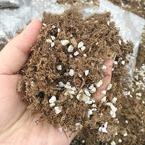 Succulent Cactus Carnivorous Potting Soil Mix Peat Moss & Perlite (½ Gallon, 2 quarts)