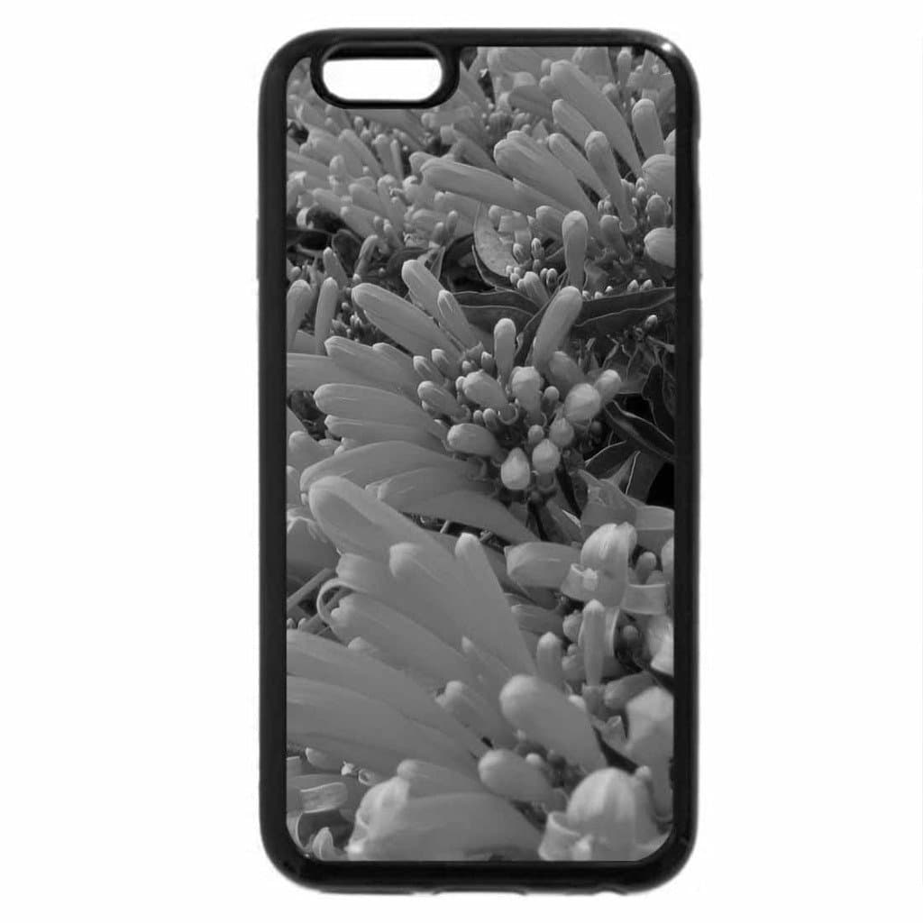 iPhone 6S Case, iPhone 6 Case (Black & White) - Pyrostegia venusta