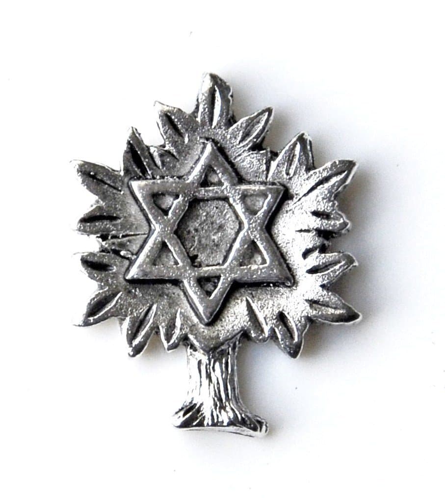 Star of David Lapel Pin