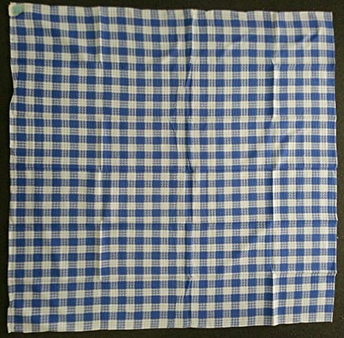 100% Cotton, Machine Washable, Dinner, Summer & Picnic Tablecloth 52 X 52", Blue and White Check, Seats 4 People