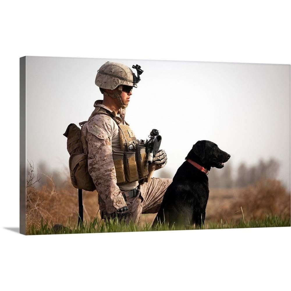 GREATBIGCANVAS U.S. Marine Holds Security in a Field with his IED Detection Dog Canvas Wall Art Print, 36"x22".