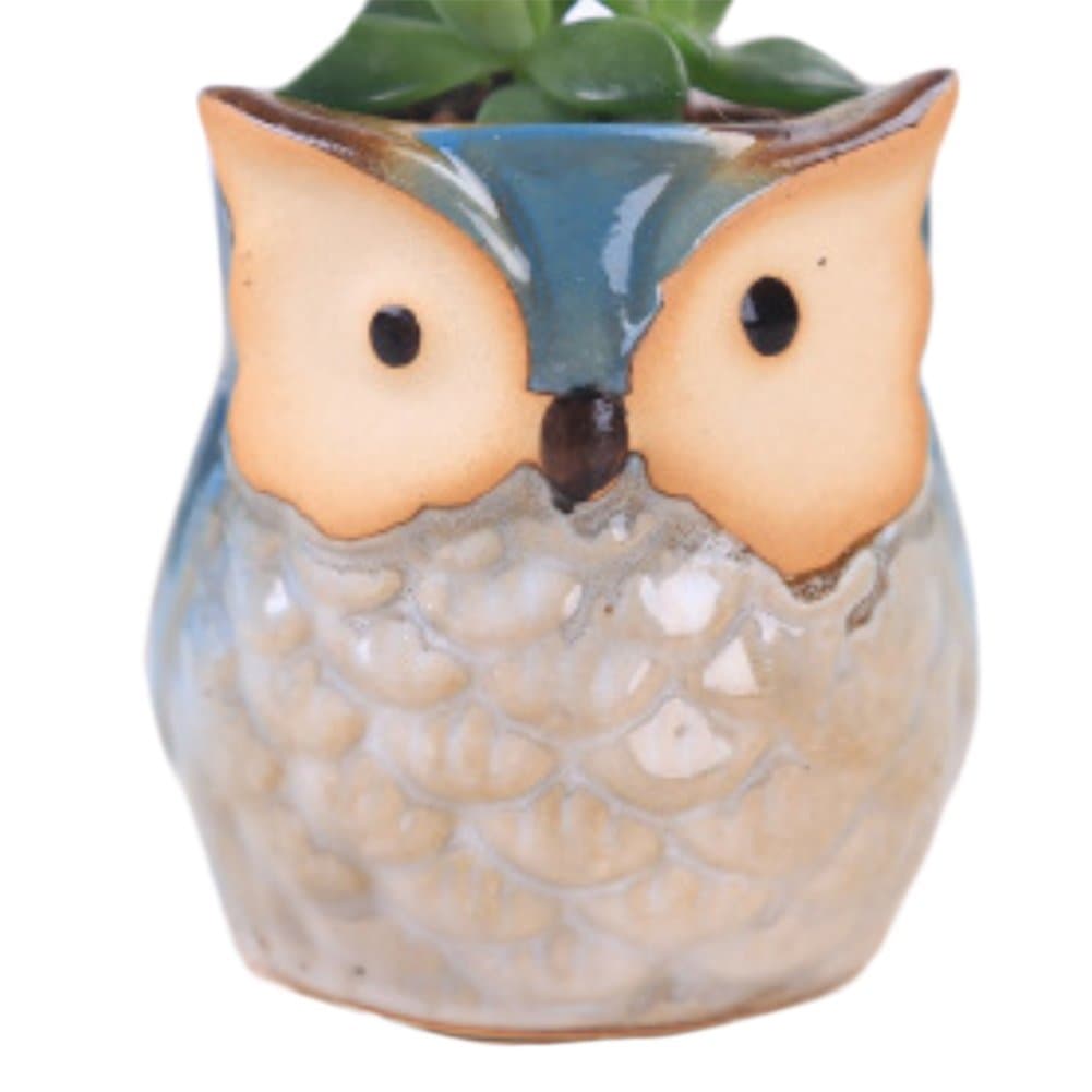 Dosige 1Pcs Cute Owl Flower Pots Succulent Planter Ceramic Cactus Flower Pot for House Office Desk Home Garden Pot Decor size 6.5 * 5.8cm (Blue)