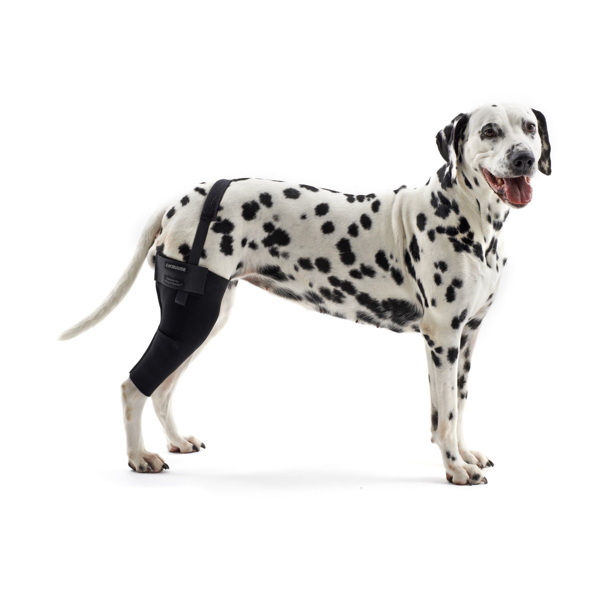 Kruuse Rehab Dog Knee Joint Protector (X-Large - Left) (Black)