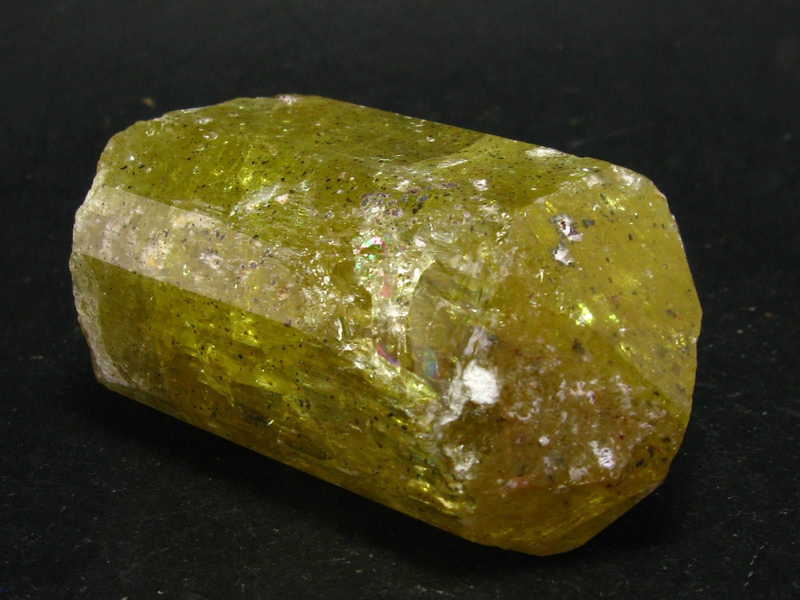 Huge Gem Golden Apatite Crystal From Mexico - 2.3"