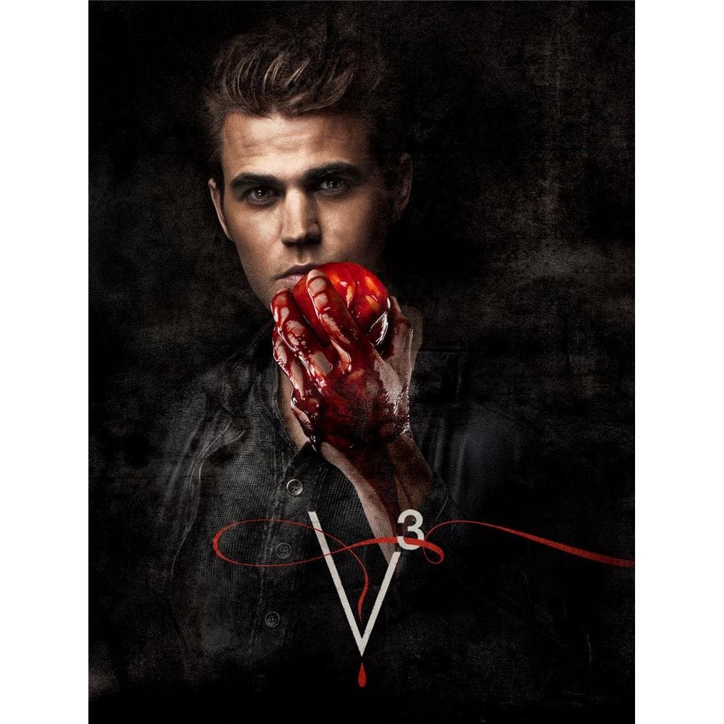 Vampire Diaries Poster by Silk Printing # Size about (60cm x 79cm, 24inch x 32inch) # Unique Gift # BD1A6E