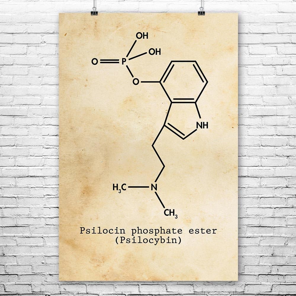 Psilocybin Molecule Poster Print, Magic Mushrooms, Psilocybin Art, Stoner Gift, Hippie Gifts, Shrooms Art Print Vintage Paper (8 inch x 10 inch)