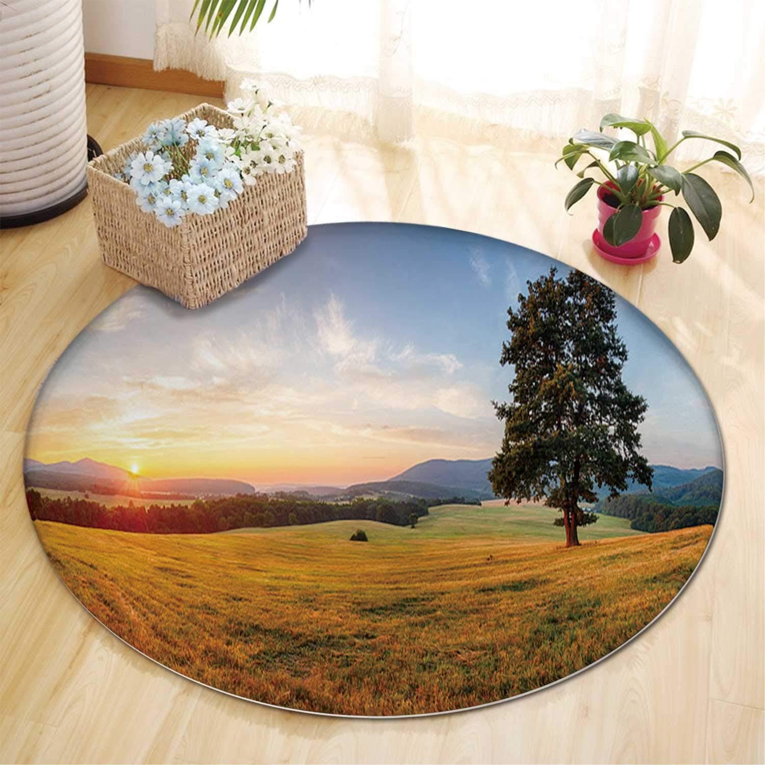 Alone Tree on Meadow at Sunset with Sun Panorama Rugs for Bedroom,076918 Rug Runners for Hallways,4 ft