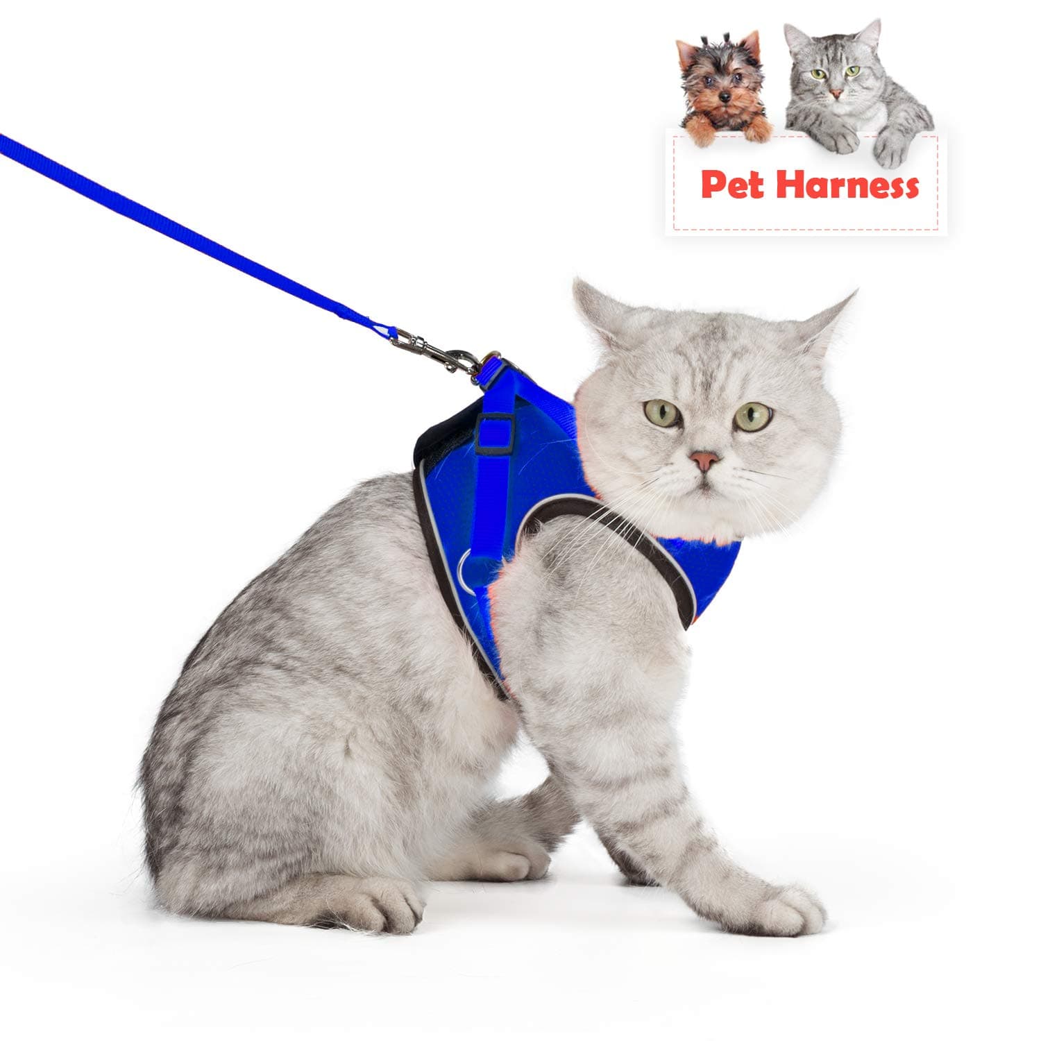 Pet Cat Dog Harness Adjustable Puppy Kitten Walking Harness Soft Mesh Cat Vest Harness with Reflective Strips Escape Proof Small Cat and Dog Harness