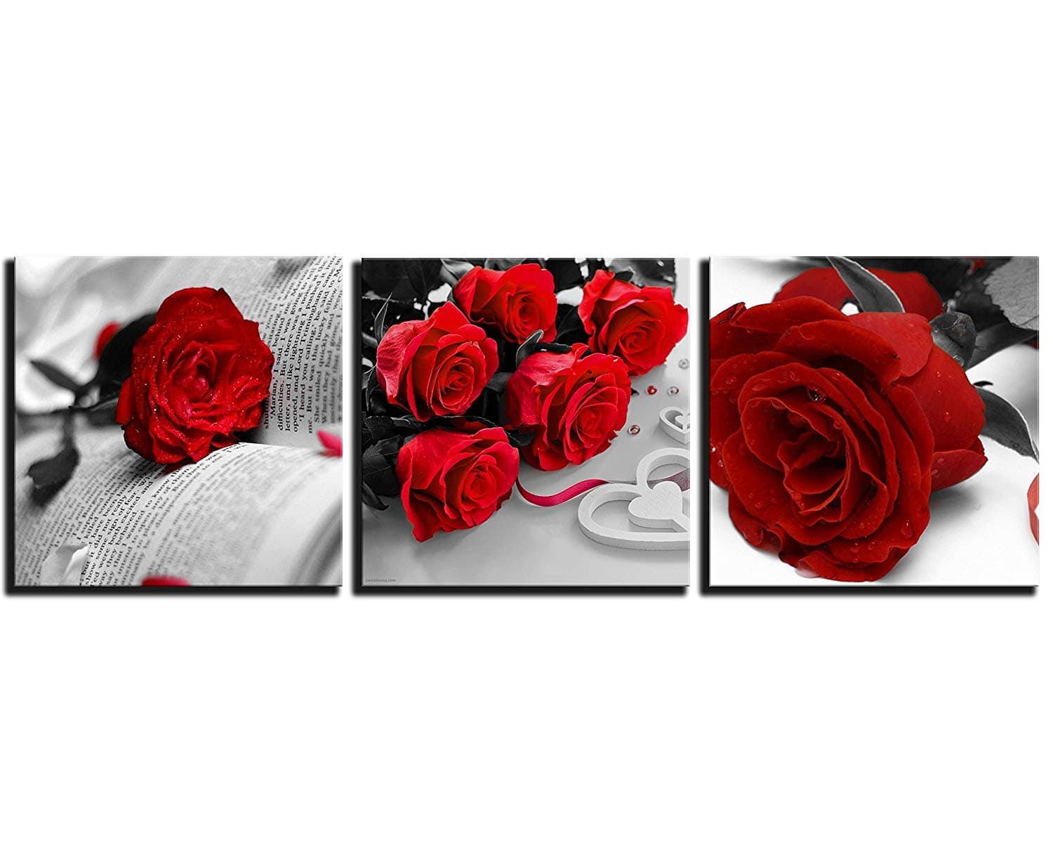 NAN Wind 3 Pcs Black White with Red Wall Art Red Rose Wall Decor Abstract Decorations Flower Picture on Canvas for Home Decor Stretched and Framed 12X12inches