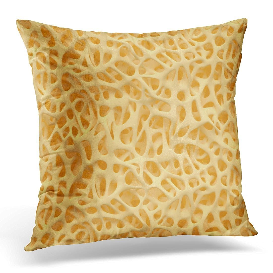 SPXUBZ Osteoporosis Bone Structure Marrow Calcium Decorative Home Decor Square Indoor/Outdoor Pillowcase Size: 16x16 Inch(Two Sides)