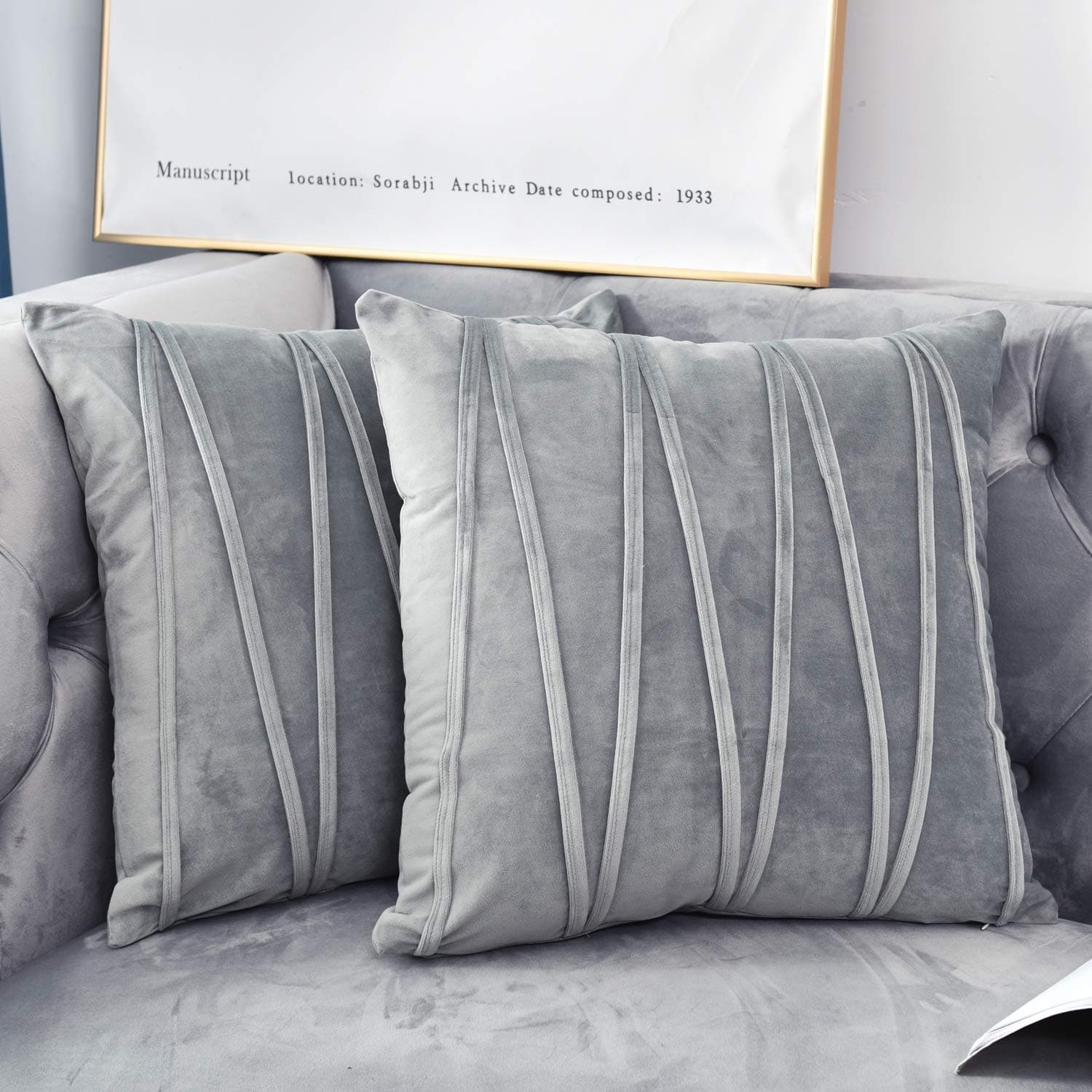 NianEr Decorative Plush Velvet Throw Pillow Covers Sofa Accent Couch Pillows Set of 2 for Bed Living Room Square Pillow Cases 20X20 Silver Grey Gray