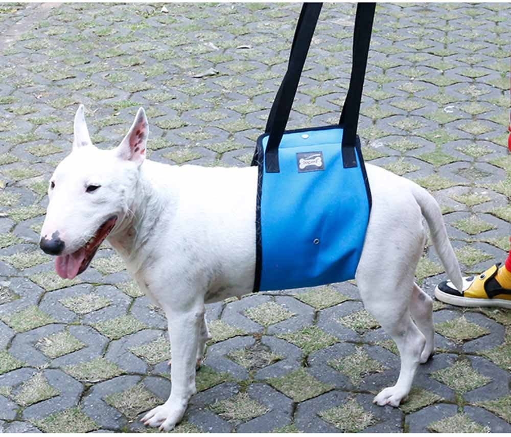 Dog Aid Lift Support Harness with Handle Sling Assist Mobility Vest Leash Help Aging, Disabled, Injured,Weak hind legs Dogs (M: Chest 60cm, Blue)
