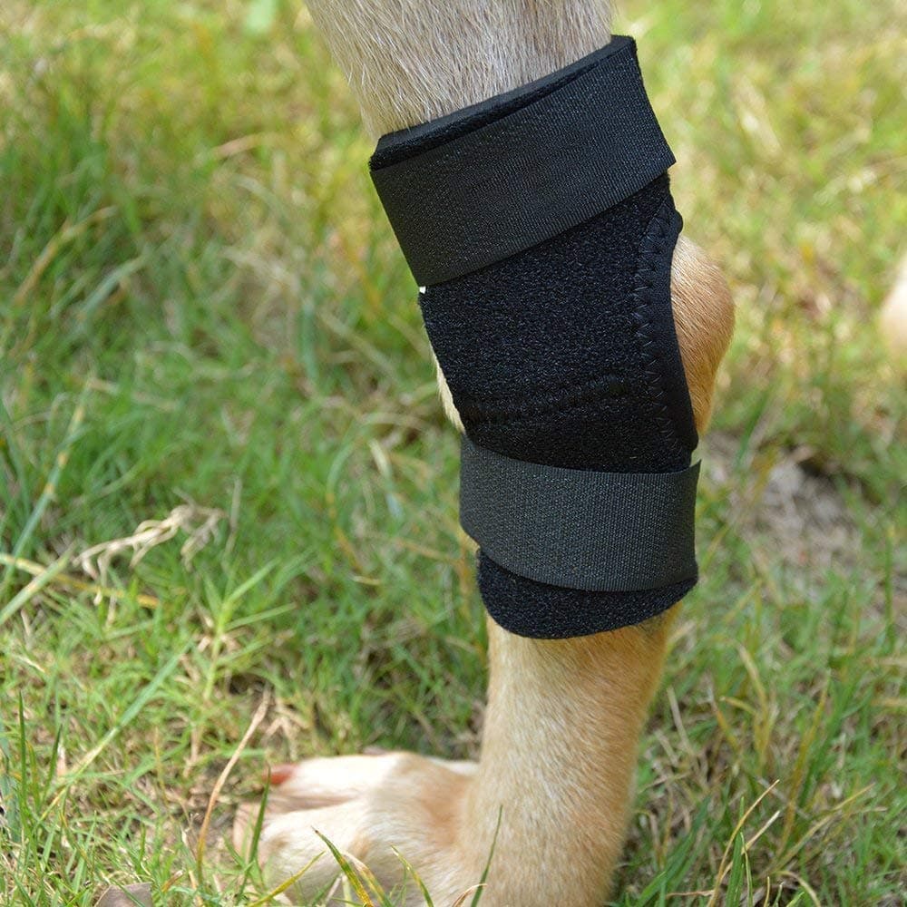Zonadeals Dog Knee Brace Back Leg Protector with 2 Rolls Vet Wraps XL