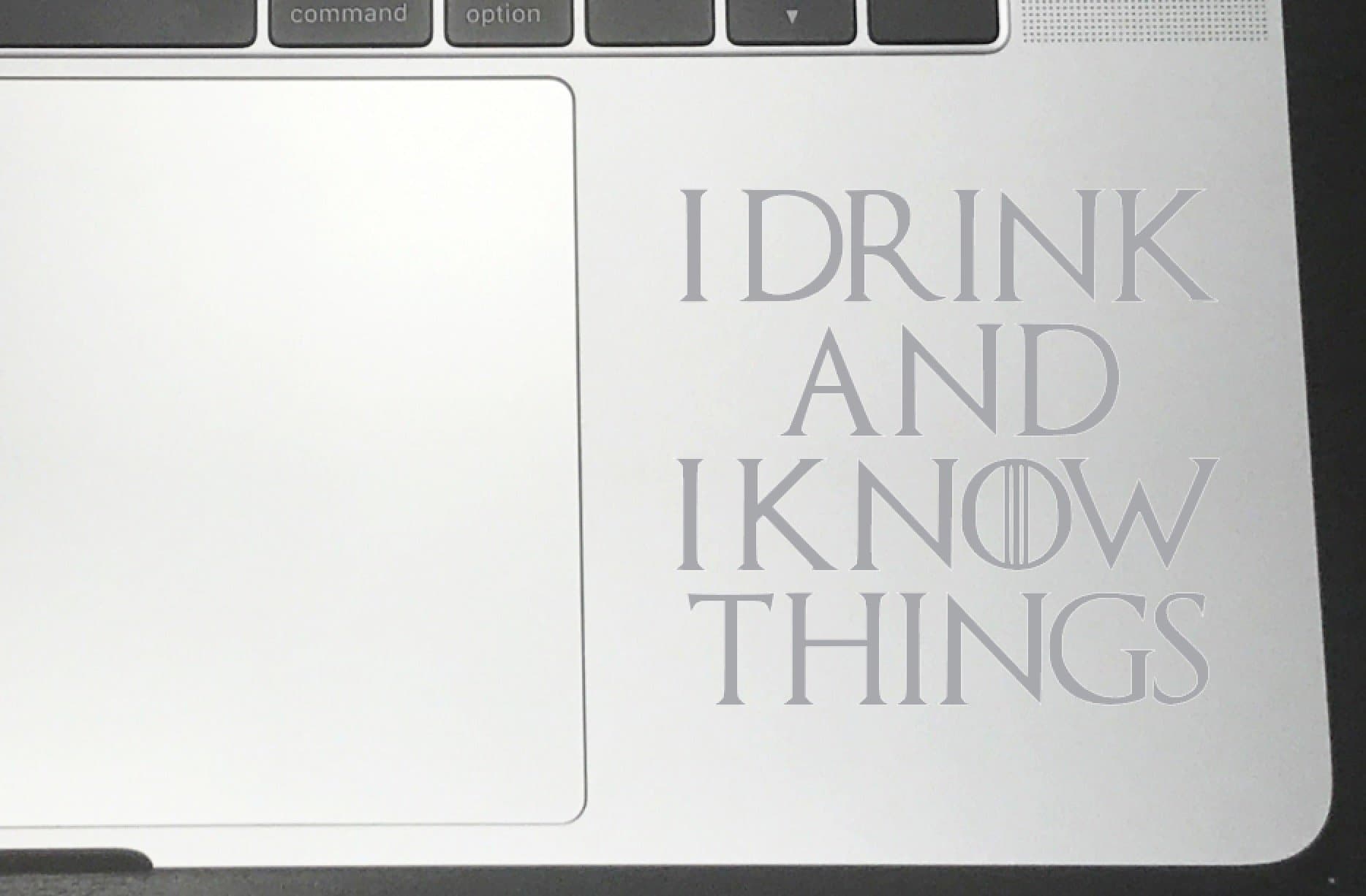 I Drink and I Know Things Vinyl Decals for Car Bumper Window Laptop (Silver, 10" x 9.25")