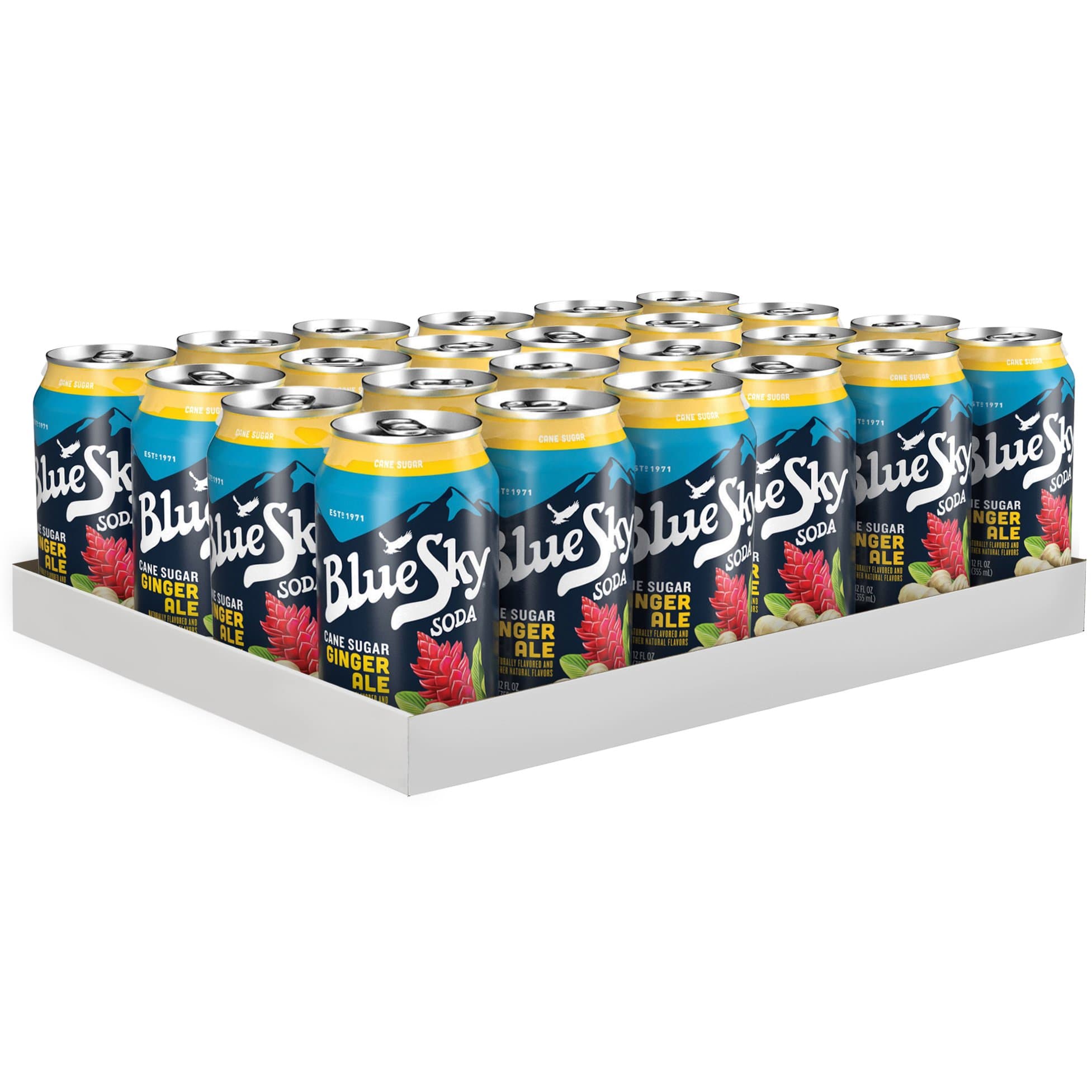 Blue Sky Cane Sugar Soda, Ginger Ale, 12 Ounce (Pack of 24)