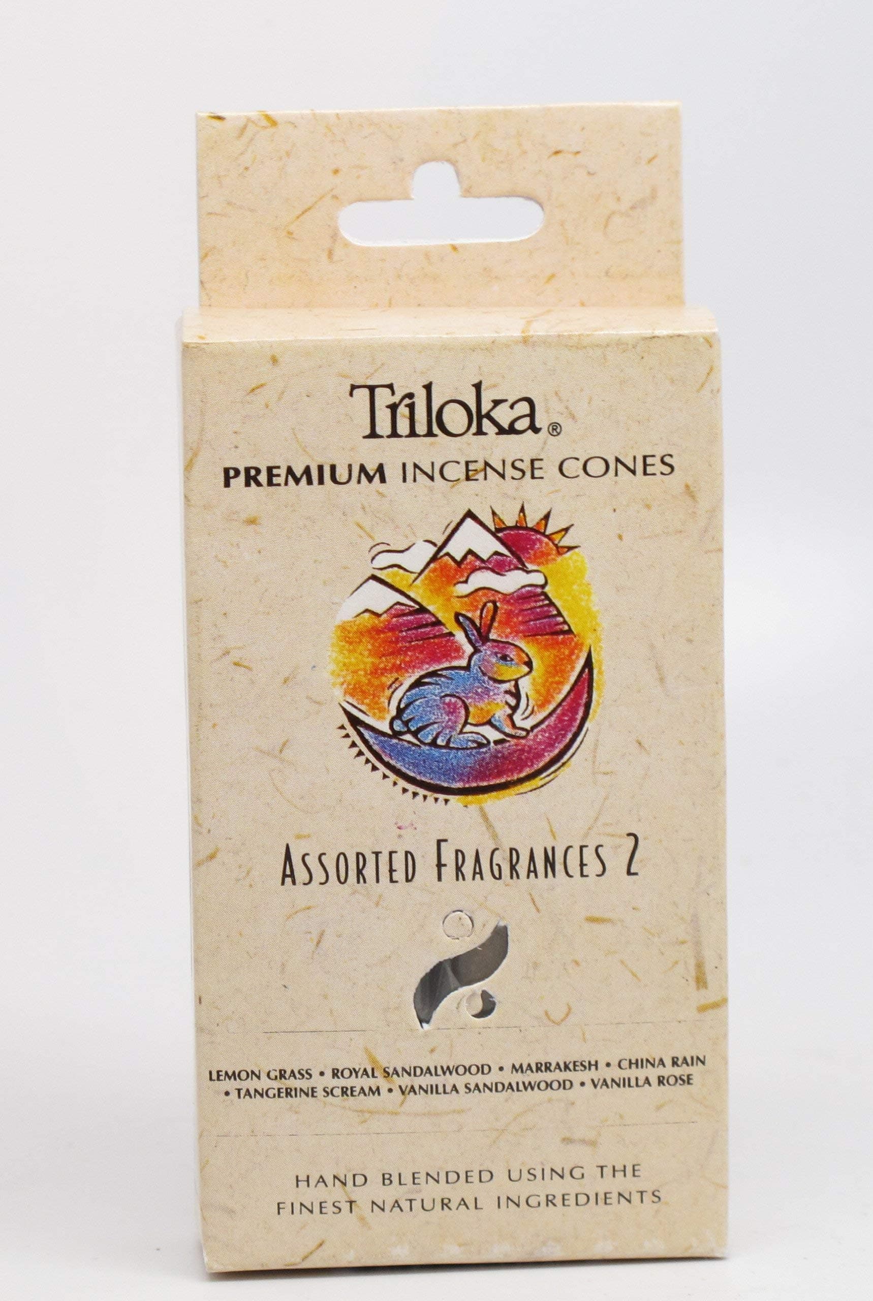 WindroseIncense Cones Assorted Fragrance, 20 CT