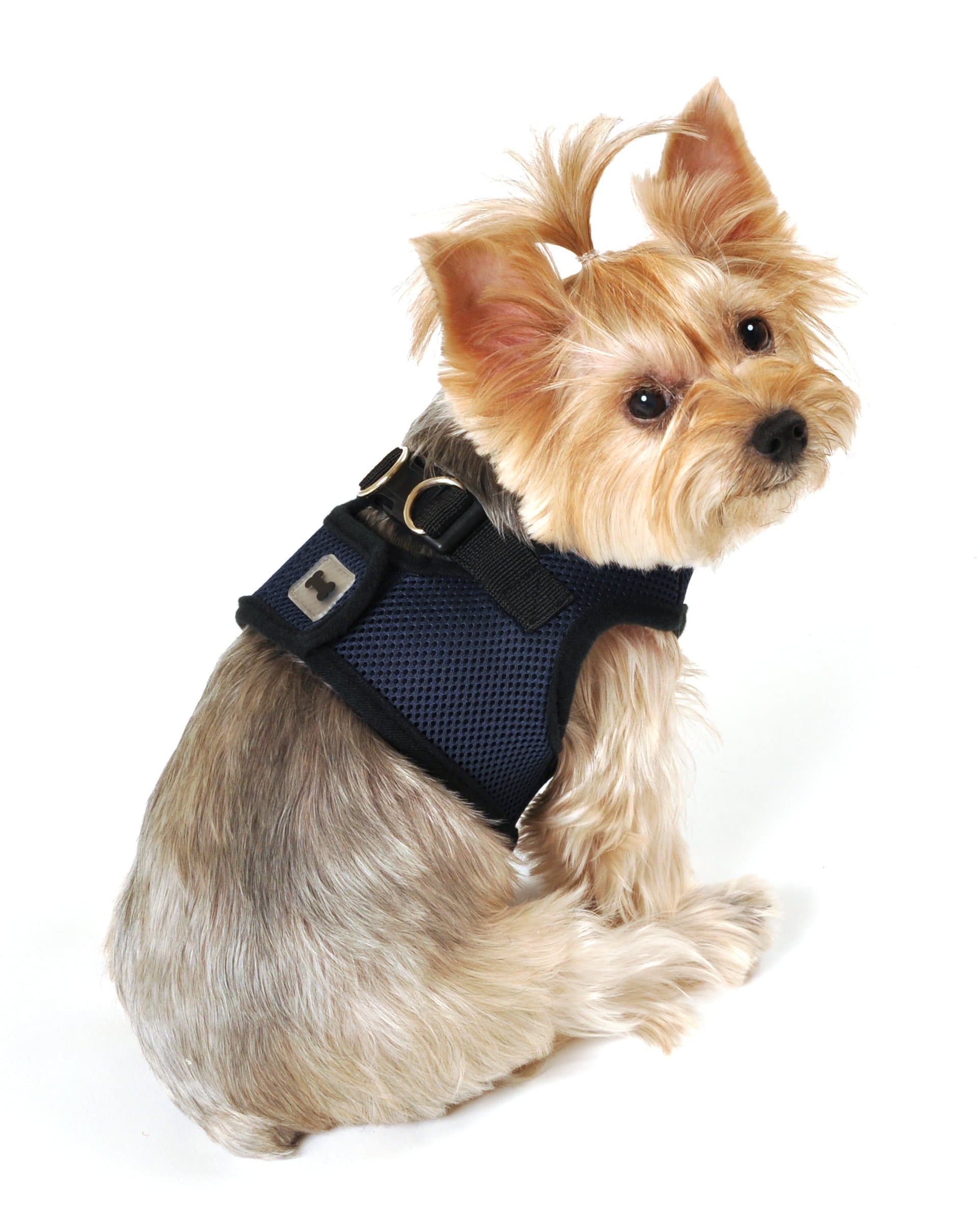 SimplyWag Dog Body Harness