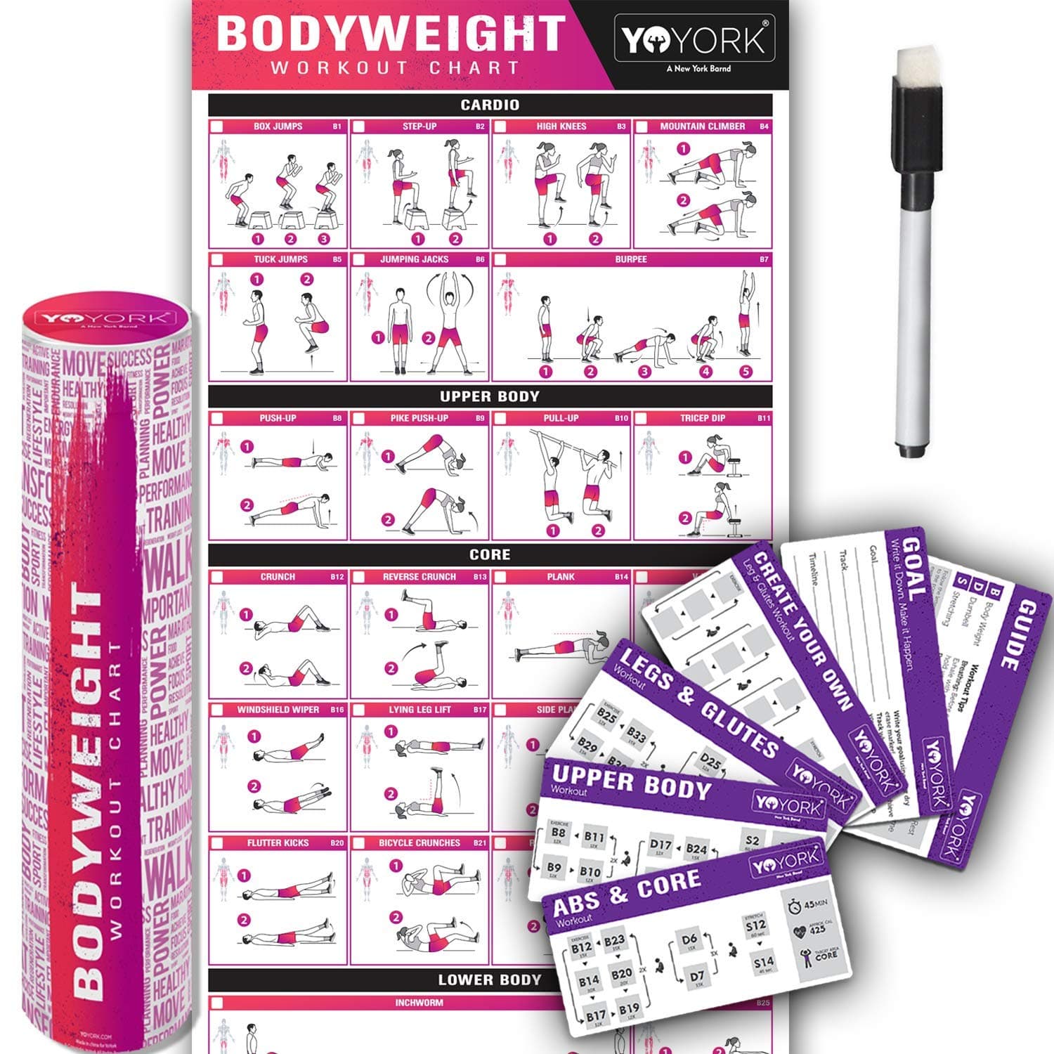 Yoyork Workout Posters for Dumbbell Training - Laminated Home Gym Workout Poster with 10 Workout Cards for Free Weight, Body Building Exercise - 17" x 45"