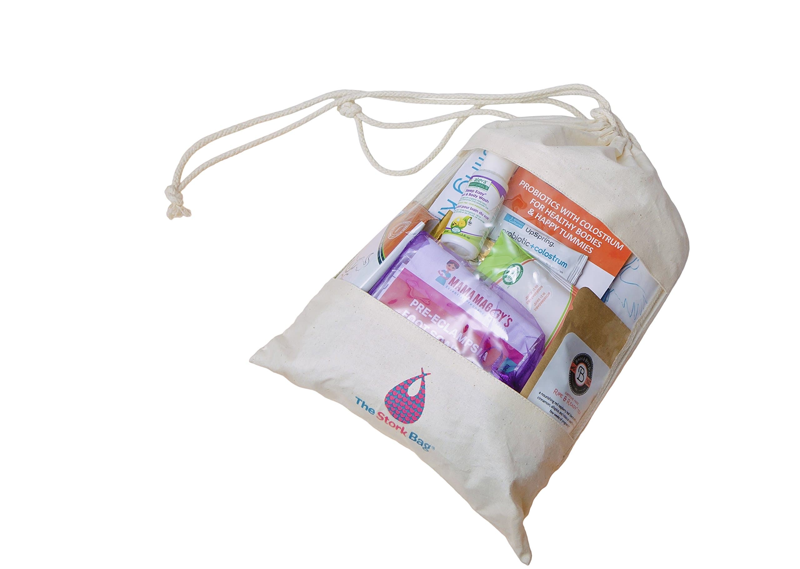 The Perfect Pregnancy Gift 1st Trimester Stork Bag