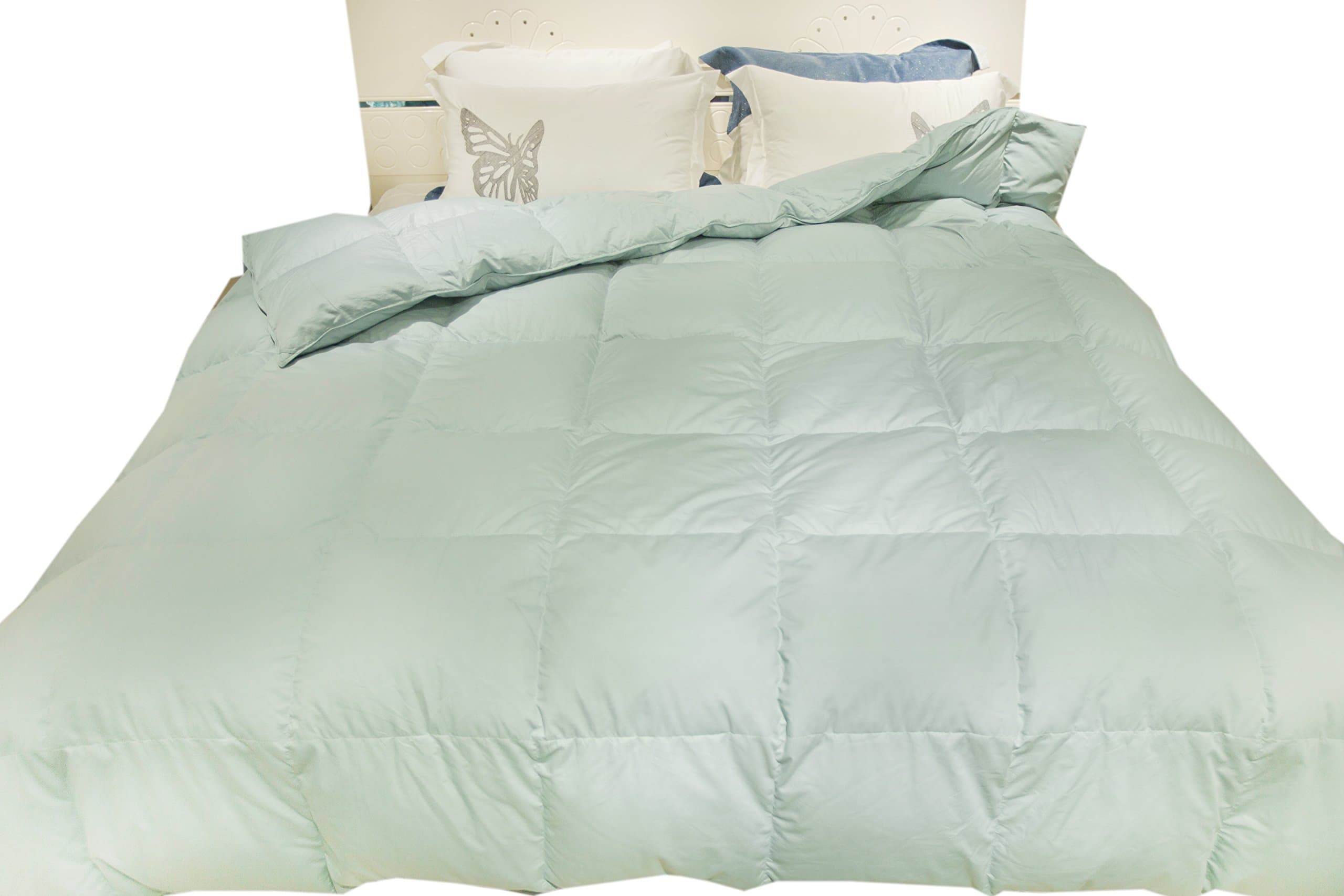 Eastwarmth Luxury White Goose Down Comforter Blanket Duvet Insert Warm Lightweight Bedding Blue Color Twin/Twin XL Size 100% Organic Cotton 700+ Filling Power