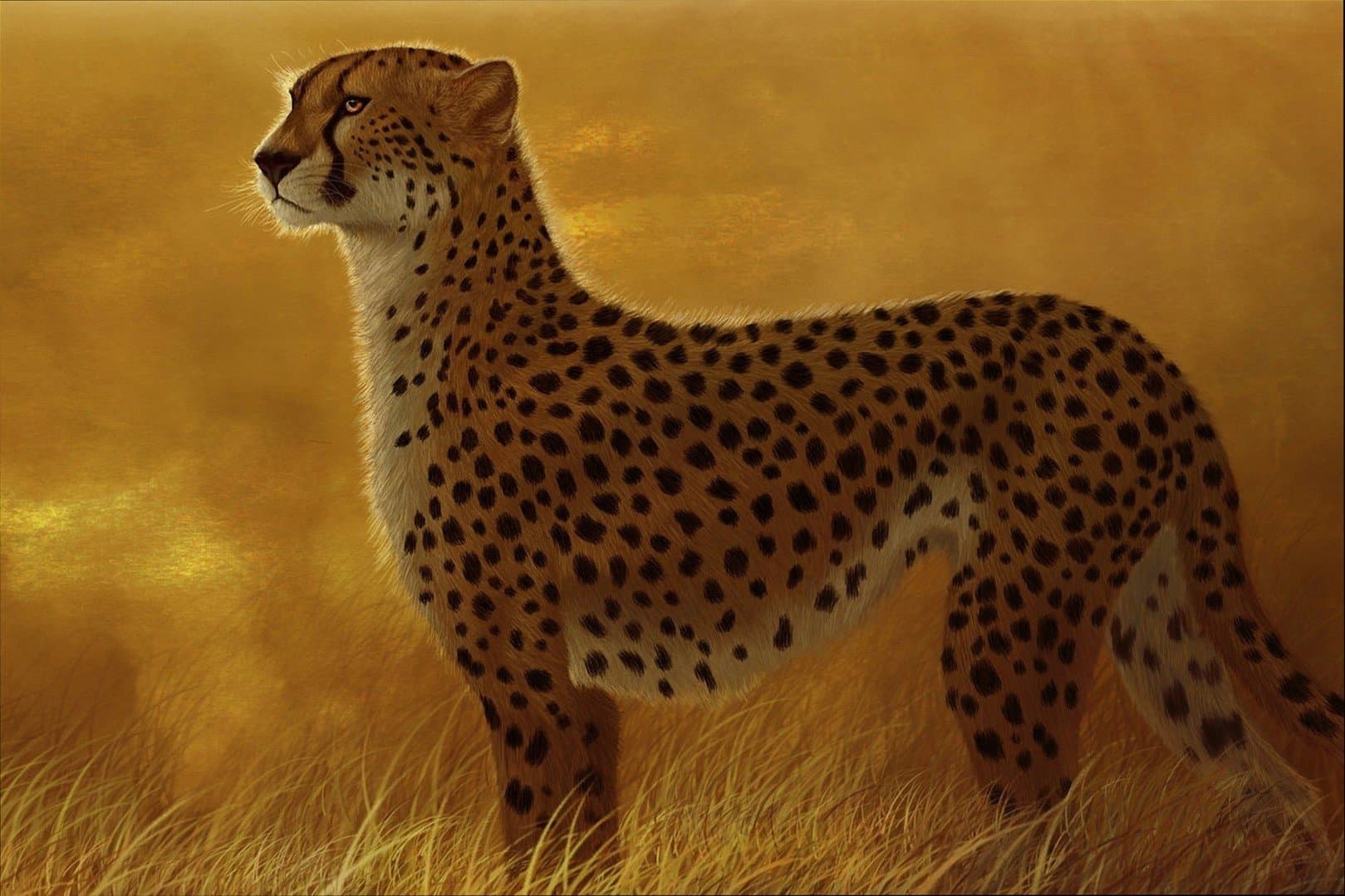 Poster DNOVING Stylish Art Print Cheetah Pattern Print Wall Decorative Wall Poster 20-Inch By 30-Inch