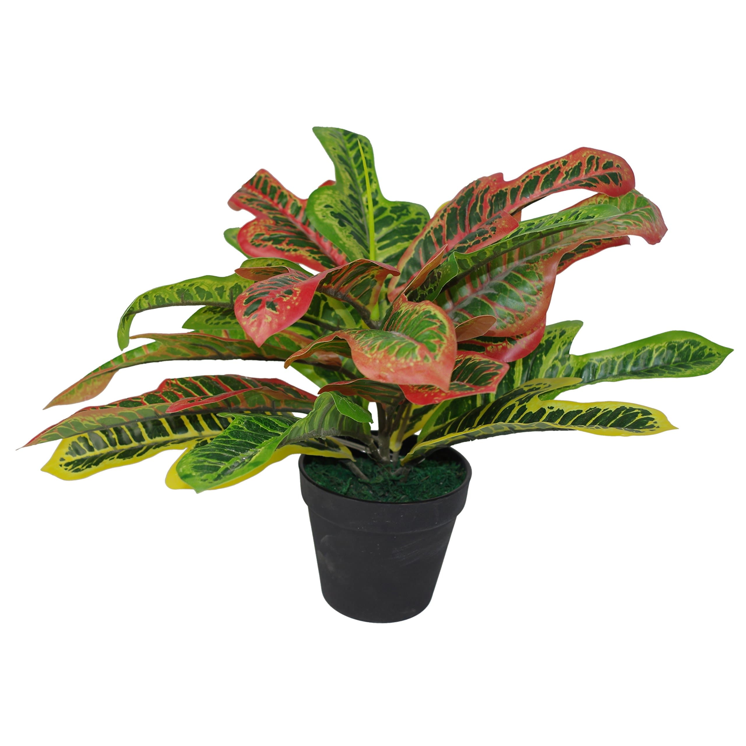 Leaf Artificial Codiaeum Multicoloured House Plant, 40cm