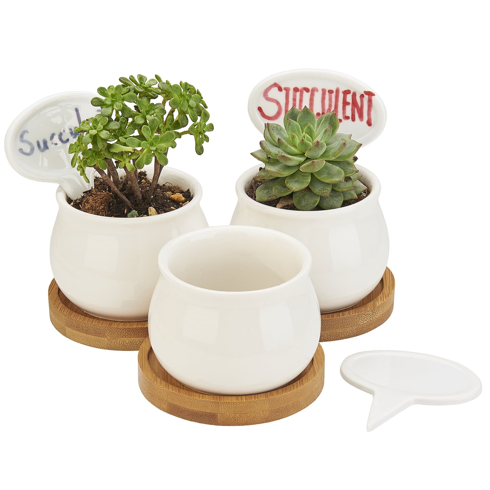 FLOWERPLUS Planter Pots Indoor, 3 Pack 2.75 Inch White Ceramic Small Round Succulent Cactus Flower Plant Pot with Bamboo Tray and Little Plants Signs for Indoors Garden Kitchen Decor