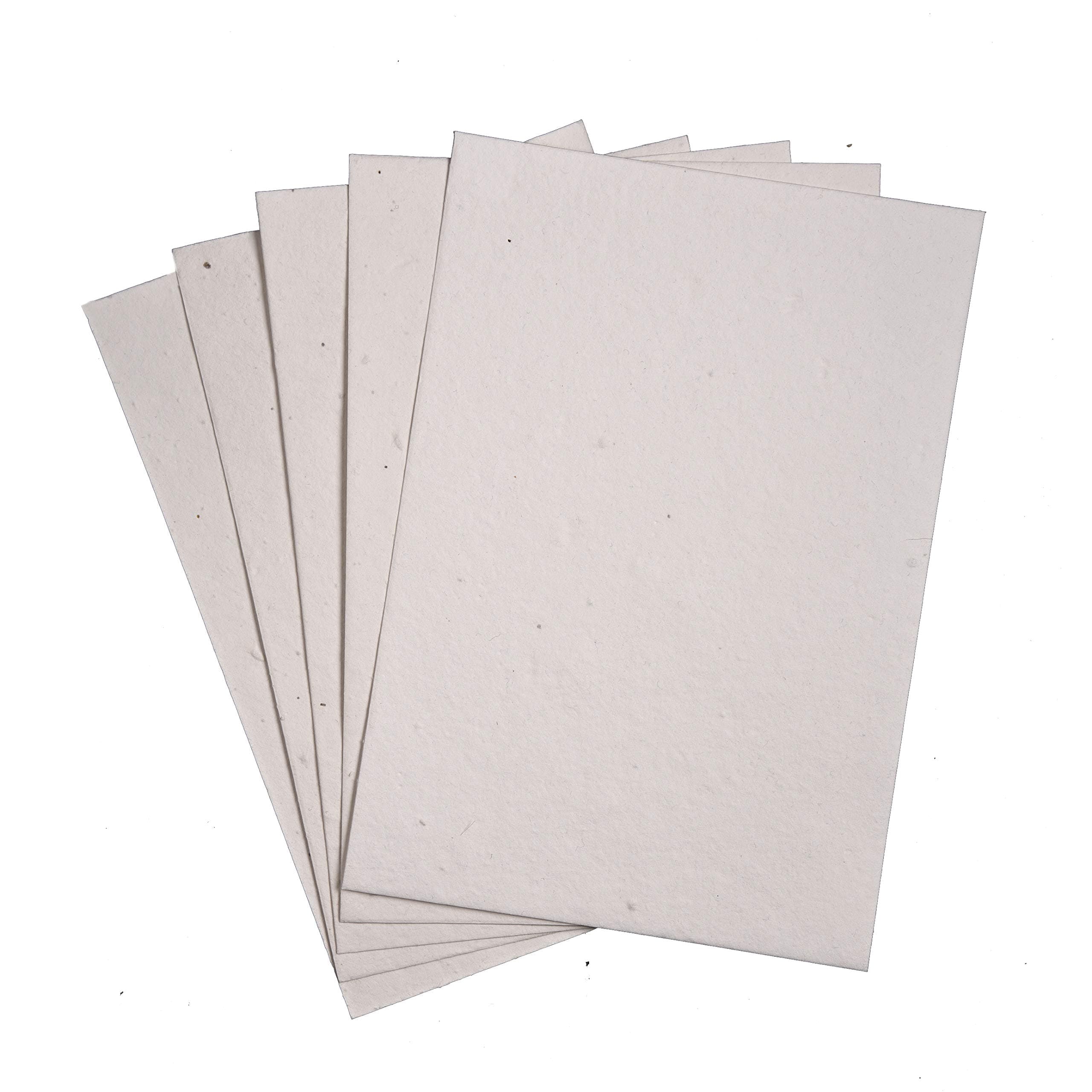 Plantables Mixed Wildflower Seed Paper sheets 200 GSM A5 (Set of 50)