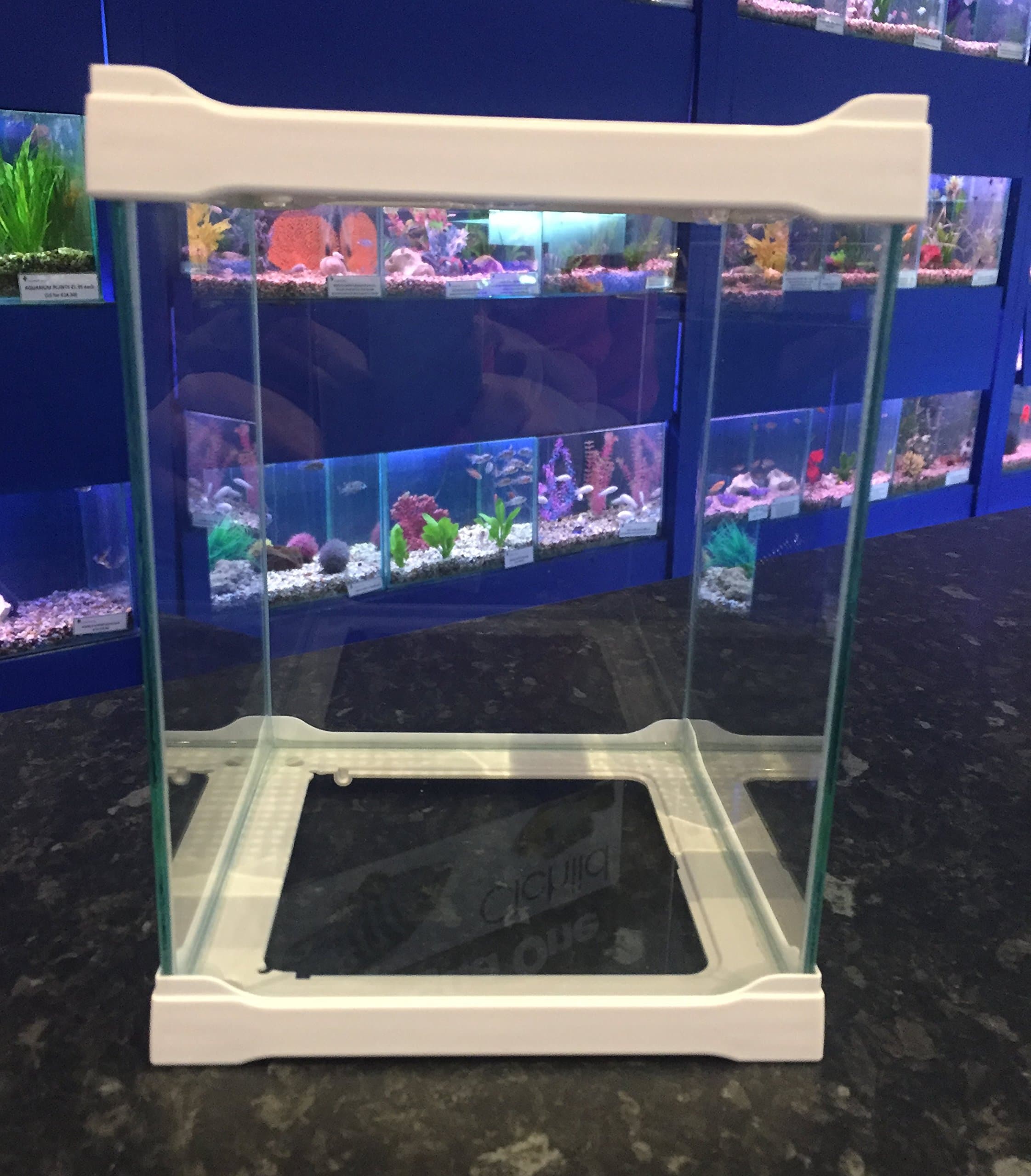 Small Stackable Glass Pet Reptile Insect Betta Shrimp Tank -WHITE 16x16x16 cm