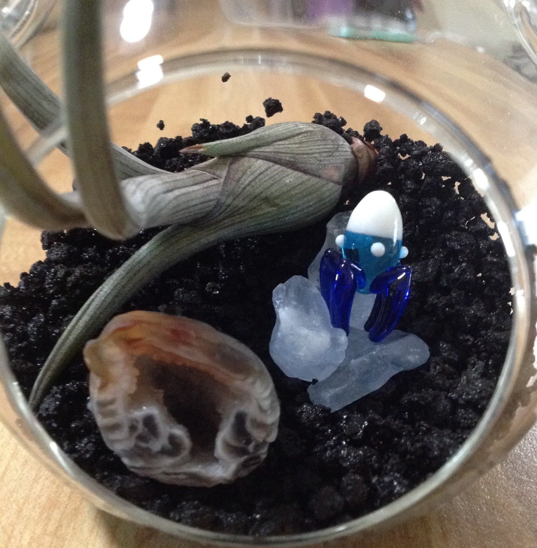 Spaceship and Aliens Kids Terrarium