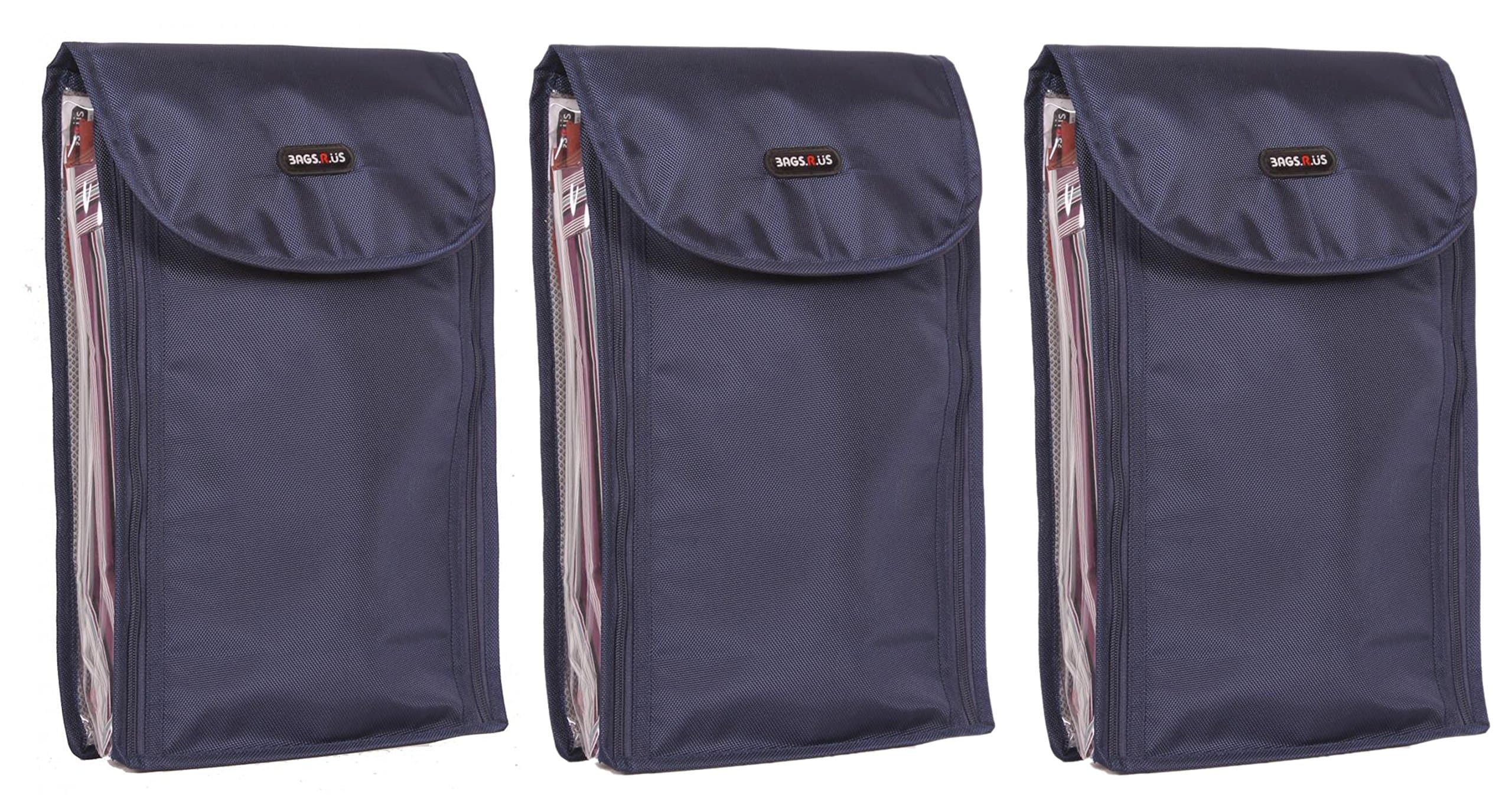 BagsRUs Multi-Colour Bag Organizer (SR101FNBX3)