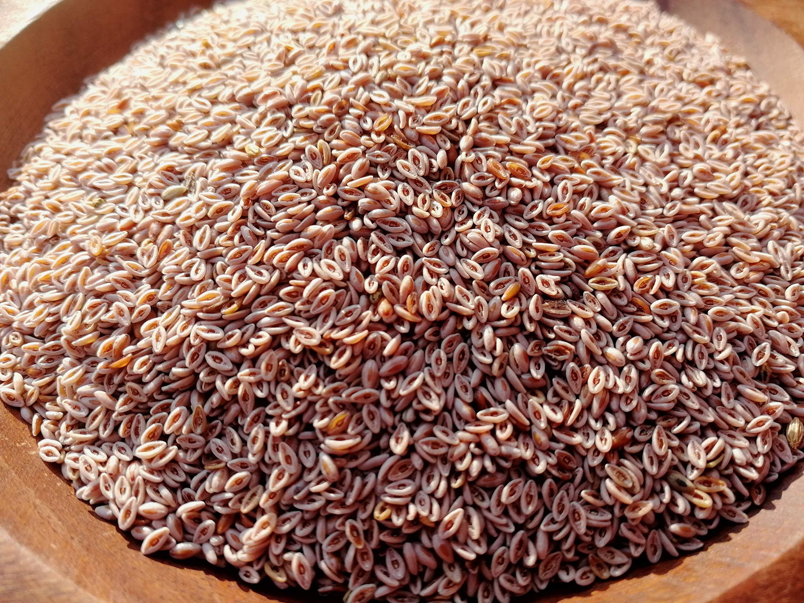 Psyllium Seeds 1Kg-3Kg (3Kg)
