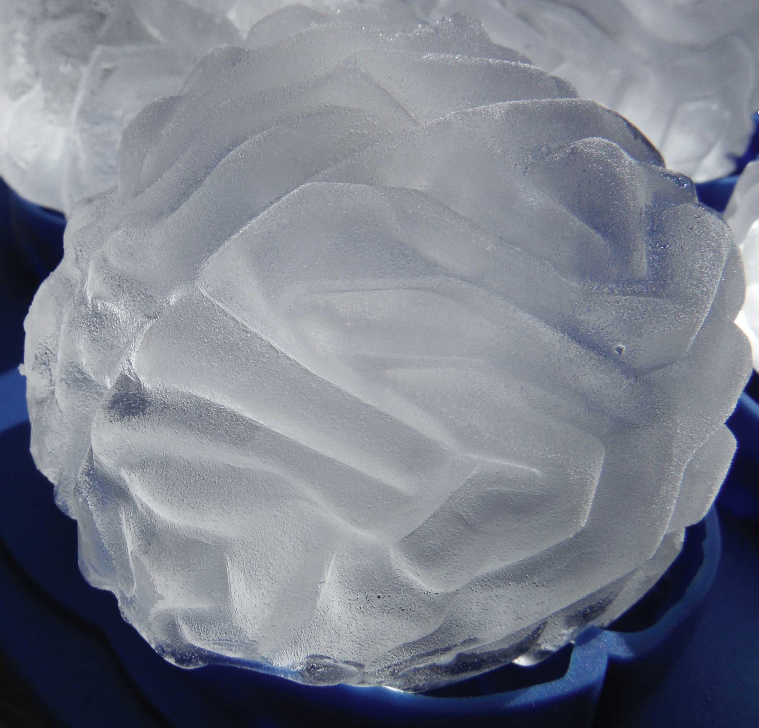 Brain Shape Ice Chocolate Tray Mold Makes 4 Ice Brains