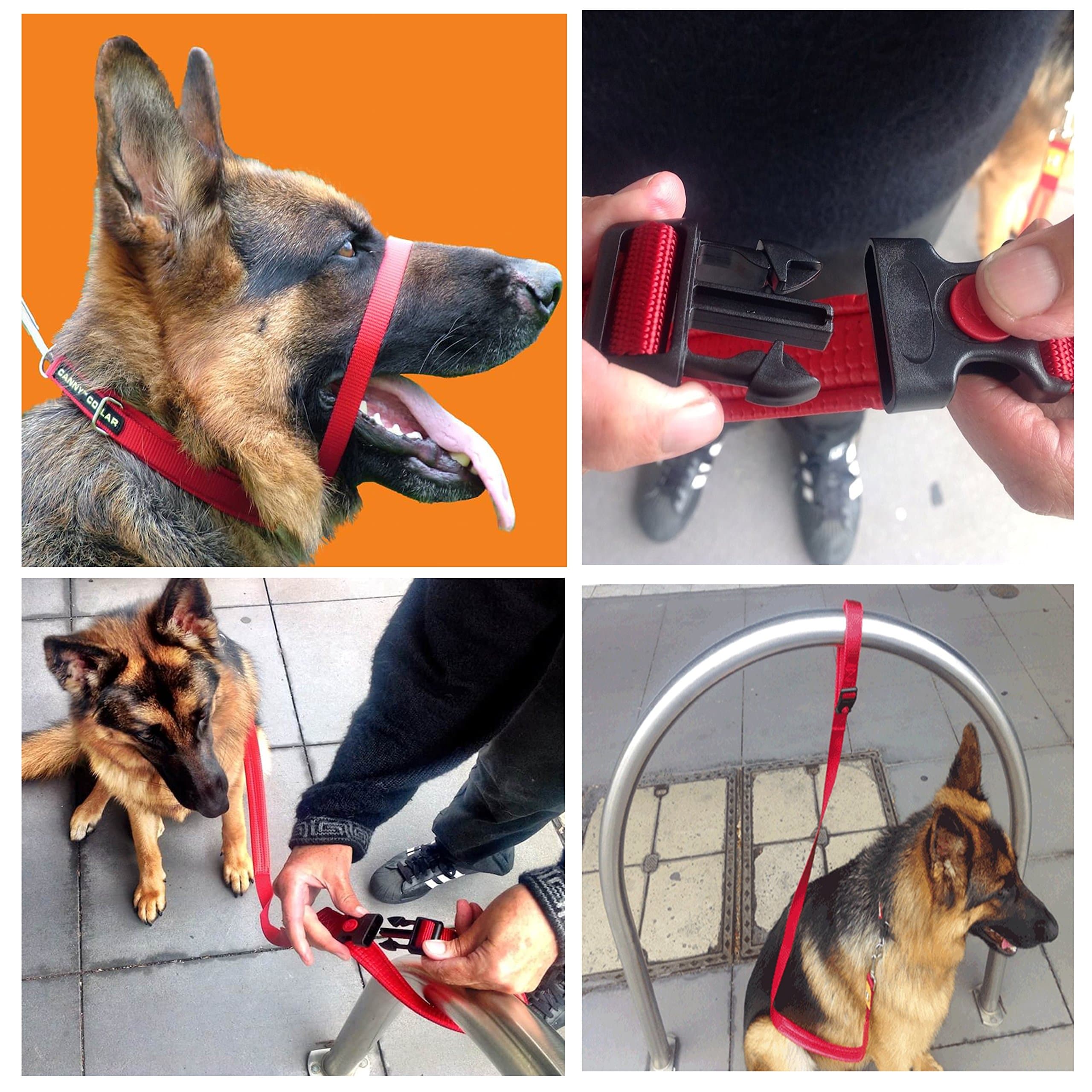 Canny Collar Red Size 5 with matching 25 mm Connect lead