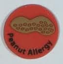 Allerbling - Allergy Awareness Charms (Peanut)