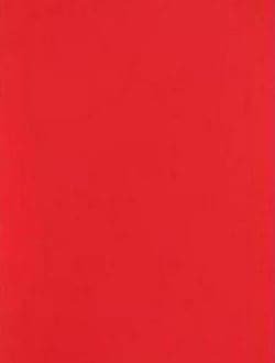 A4 Coloured Paper 80gsm Arts Craft Sheets Bright Pastel Neon Colours Suitable for Laser Inkjet & Copier Printers 100 Sheets (Bright Red)