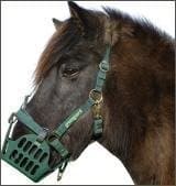Greenguard Horses Headcollar Size: 66