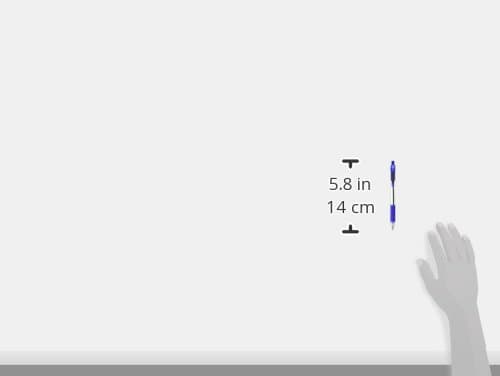 Zebra Pen Z-Grip Retractable Pen, 48-Pack, Blue (22248)