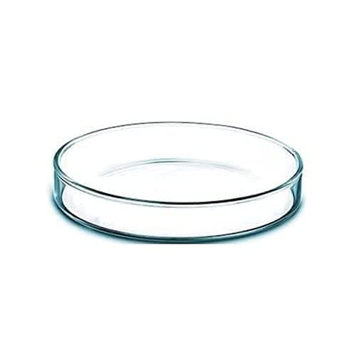 High Quality Borosilicate Glass Petri dish - (100MM, 1)