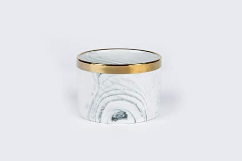 Opsuper Ceramic Succulent Pots with Golden Stand, Set of 2 White Modern Flower Cactus Planter with Drainage for Bookshelves Windowsill (F)