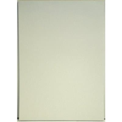 RHINO Memo Pad A5 80 Leaf Plain Unruled (Pack of 10)