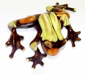 Citrus Green Shelf Frog ~ 5 x 6.5 Inch