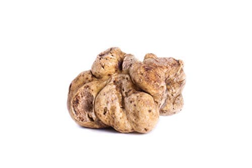 DR Delicacy Fresh White Truffles, 1 oz.