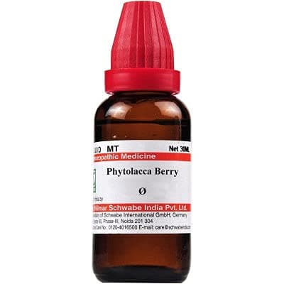 Willmar India Phytolacca Berry 1X (Q) (30ml)