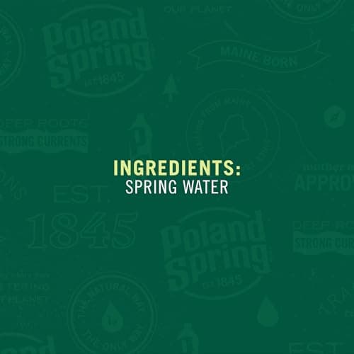 Poland Spring Maine Spring Water Bottles, 1 Gallon Jug – Still Bottled Water with Naturally Occurring Minerals