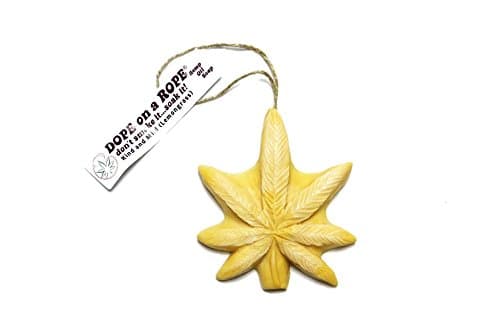 Soap, Last Minute Gifts, BEST Stocking Stuffer, Gifts for Him, Gifts for Her, Funny Gifts, Secret Santa Gifts, Novelty Gift, Soap on a Rope, Hemp Soap