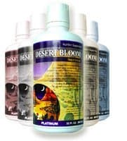 Nopal Juice - New Arrivals for 2016